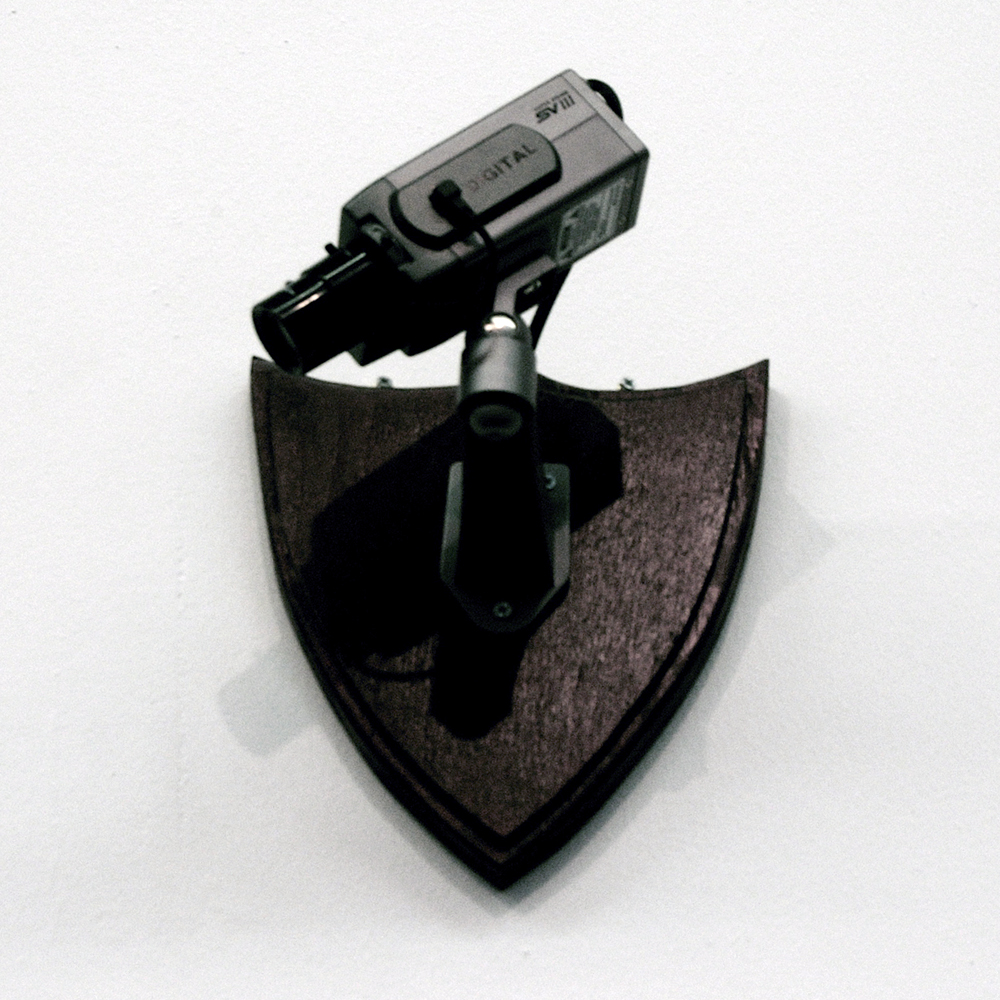 Portrait of Our Society